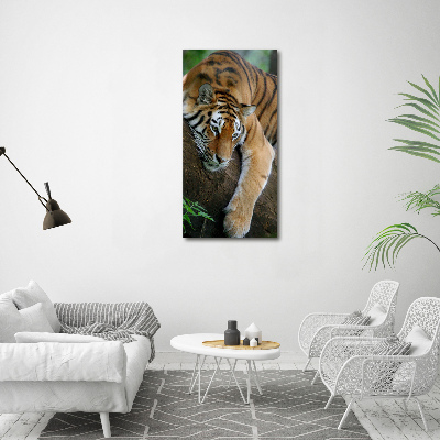 Tableau sur toile Tigre dans un arbre