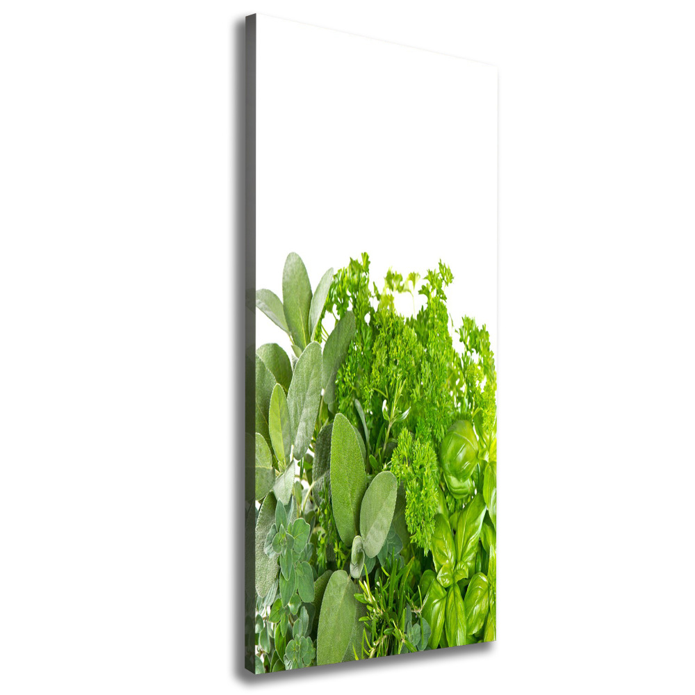 Tableau mural sur toile Herbes aromatiques