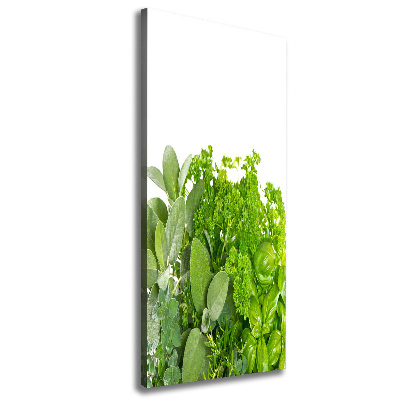 Tableau mural sur toile Herbes aromatiques