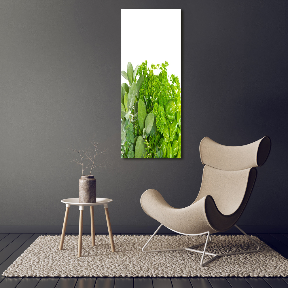 Tableau mural sur toile Herbes aromatiques