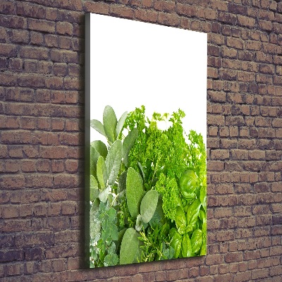 Tableau mural sur toile Herbes aromatiques