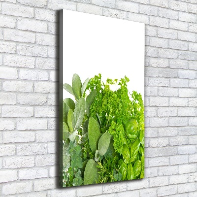 Tableau mural sur toile Herbes aromatiques