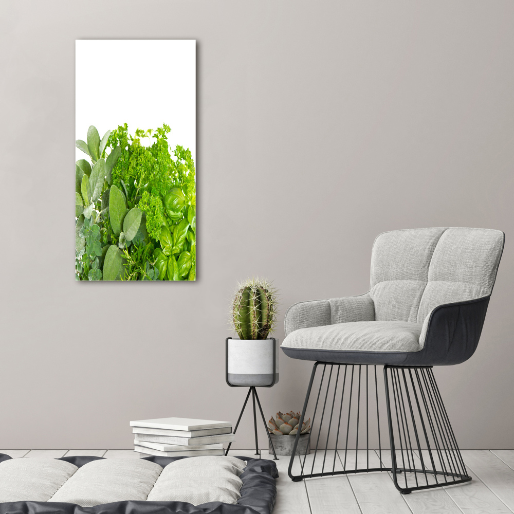 Tableau mural sur toile Herbes aromatiques