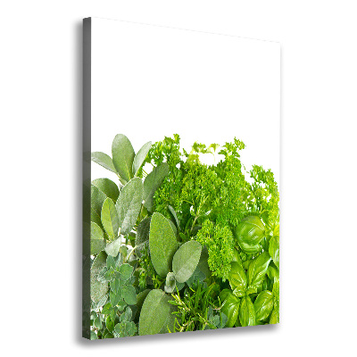 Tableau mural sur toile Herbes aromatiques