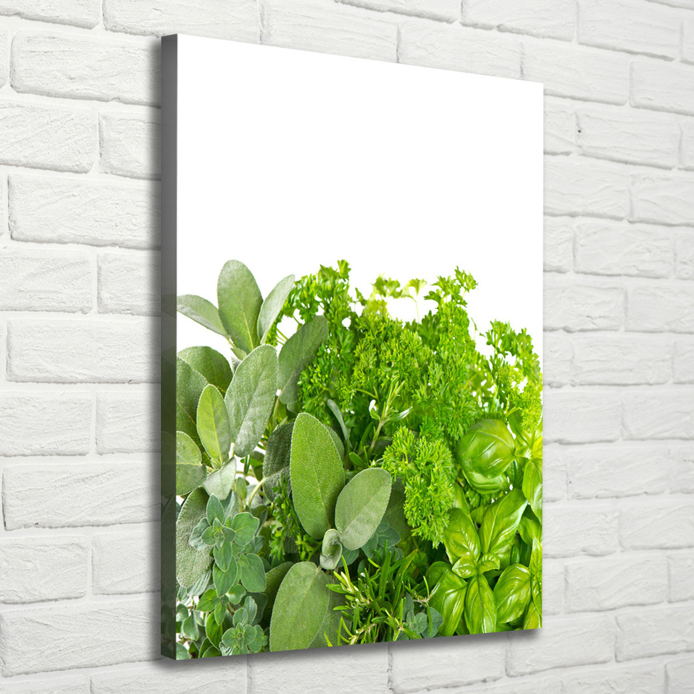 Tableau mural sur toile Herbes aromatiques