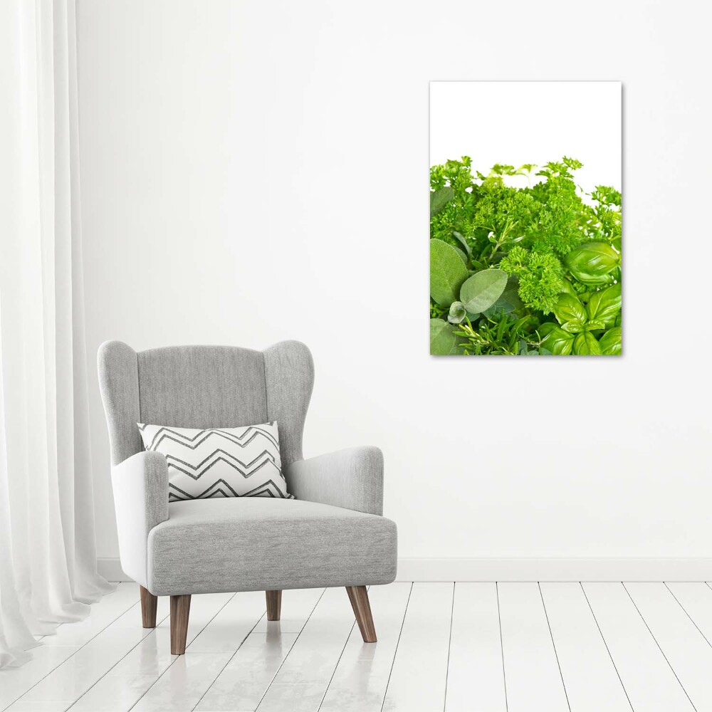 Tableau mural sur toile Herbes aromatiques