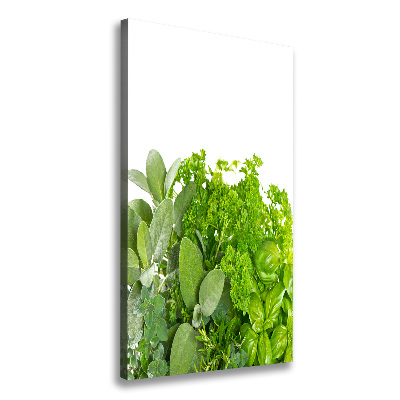 Tableau mural sur toile Herbes aromatiques