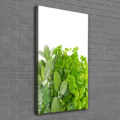 Tableau mural sur toile Herbes aromatiques