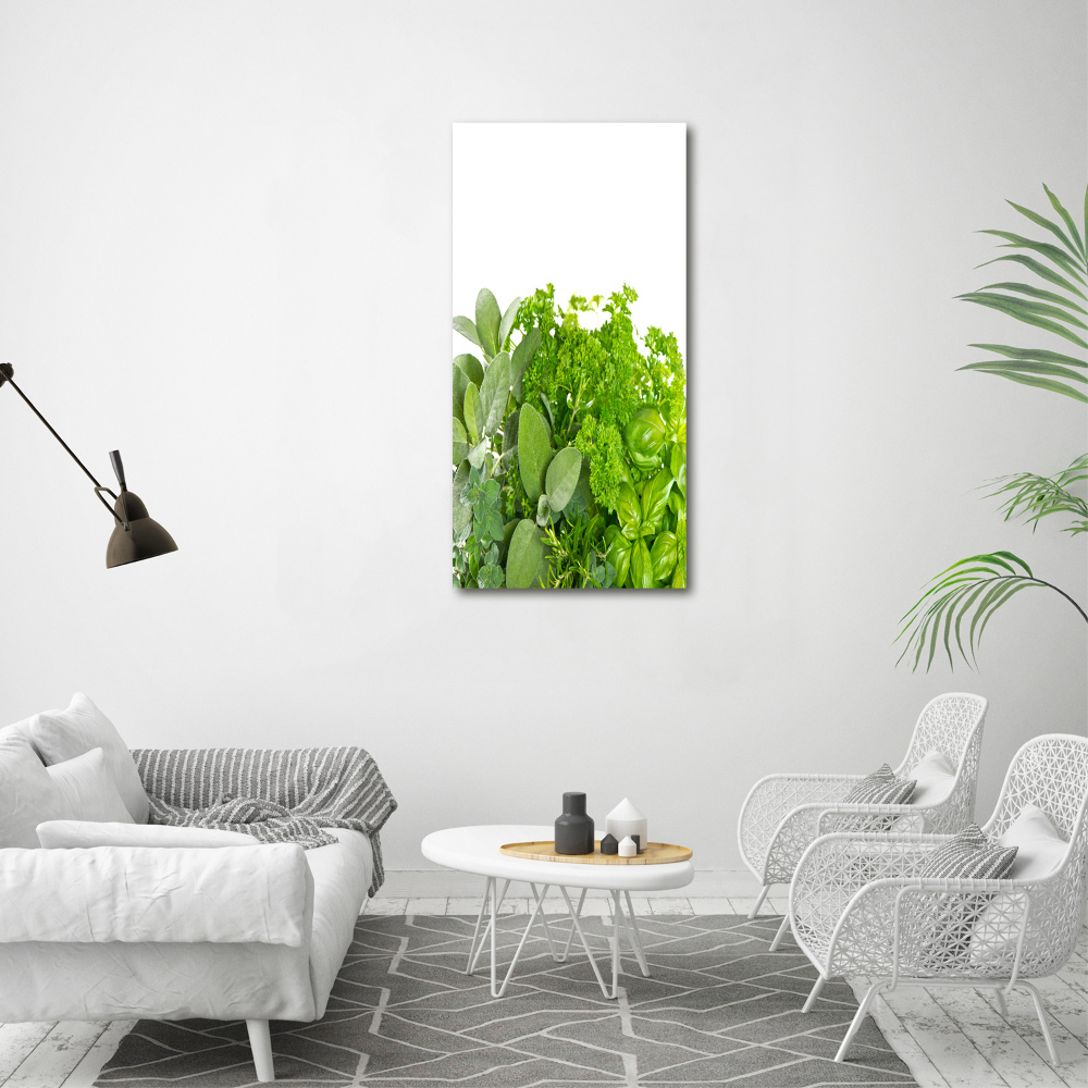 Tableau mural sur toile Herbes aromatiques