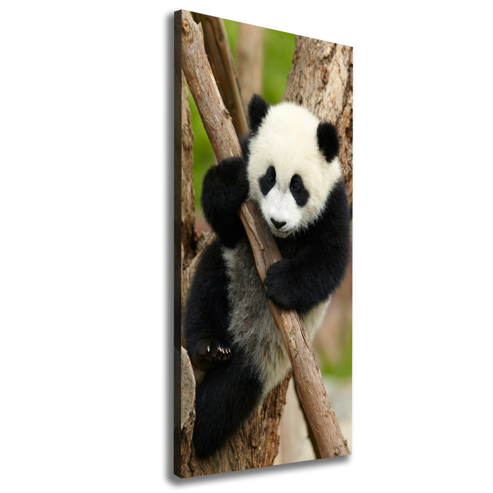 Tableau sur toile Panda dans un arbre