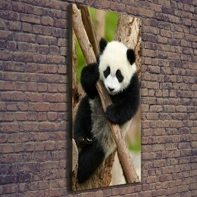 Tableau sur toile Panda dans un arbre