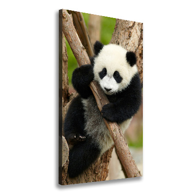 Tableau sur toile Panda dans un arbre