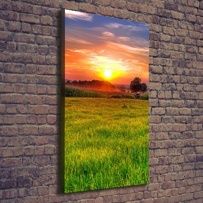 Tableau sur toile Coucher de soleil