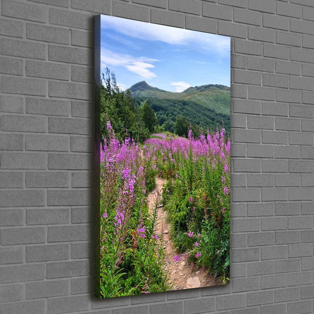 Tableau imprimé sur toile Bieszczady