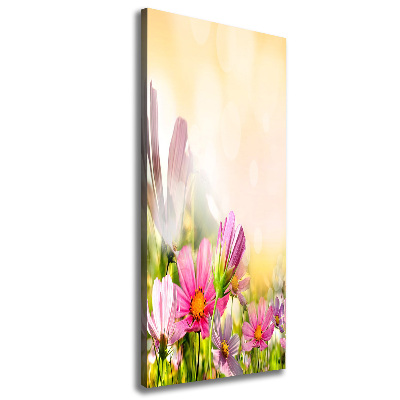 Tableau photo sur toile Fleurs des champs