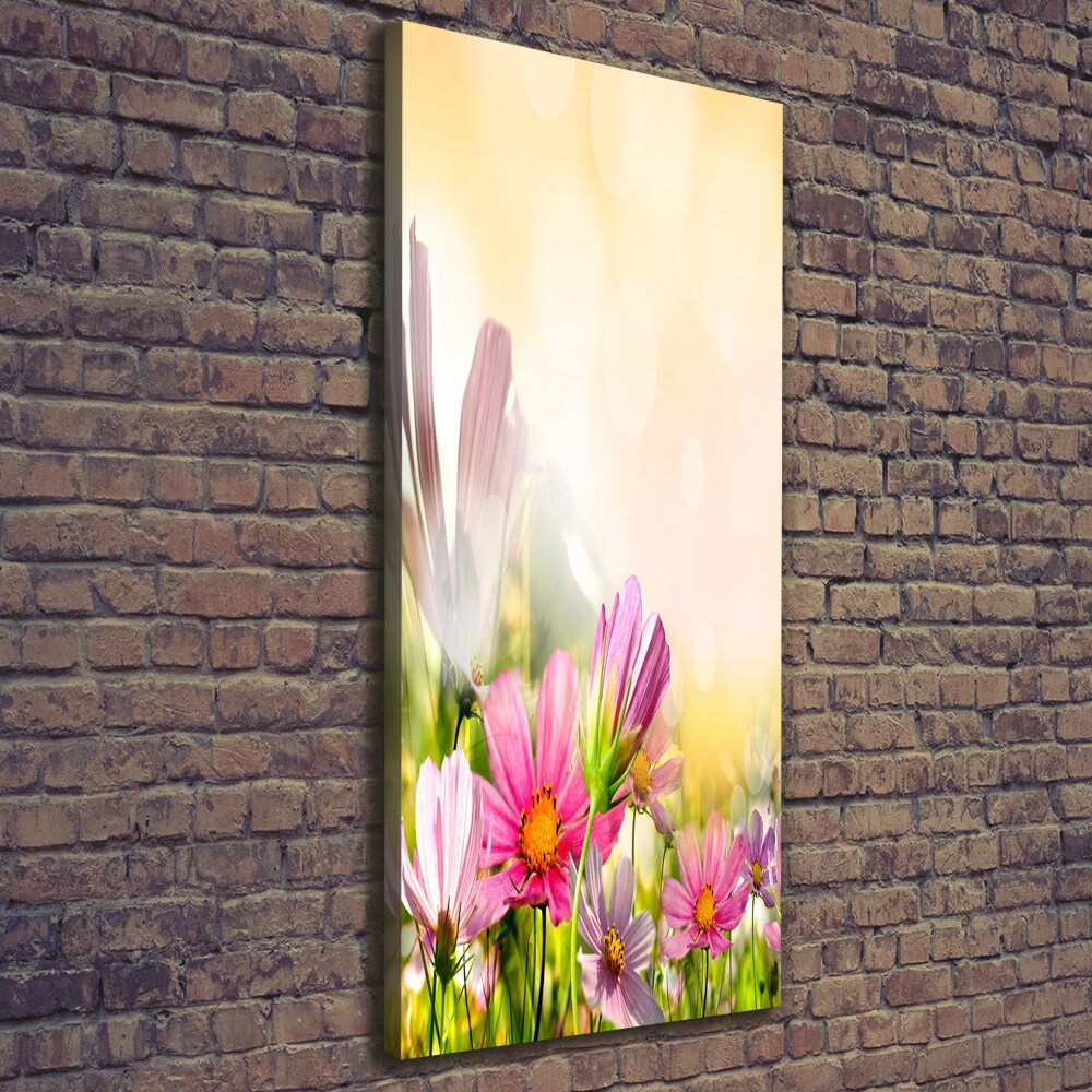 Tableau photo sur toile Fleurs des champs