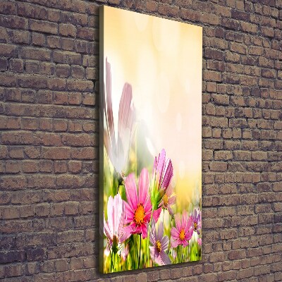 Tableau photo sur toile Fleurs des champs