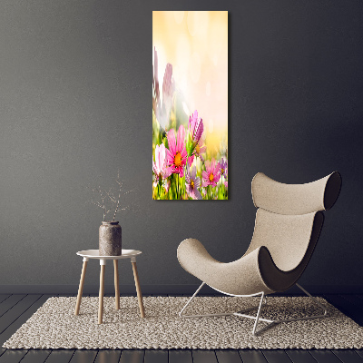 Tableau photo sur toile Fleurs des champs