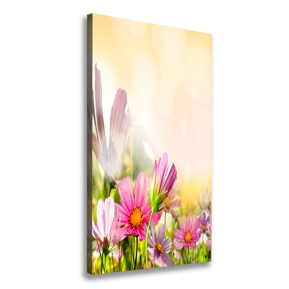 Tableau photo sur toile Fleurs des champs