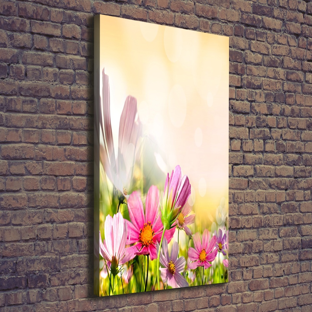 Tableau photo sur toile Fleurs des champs