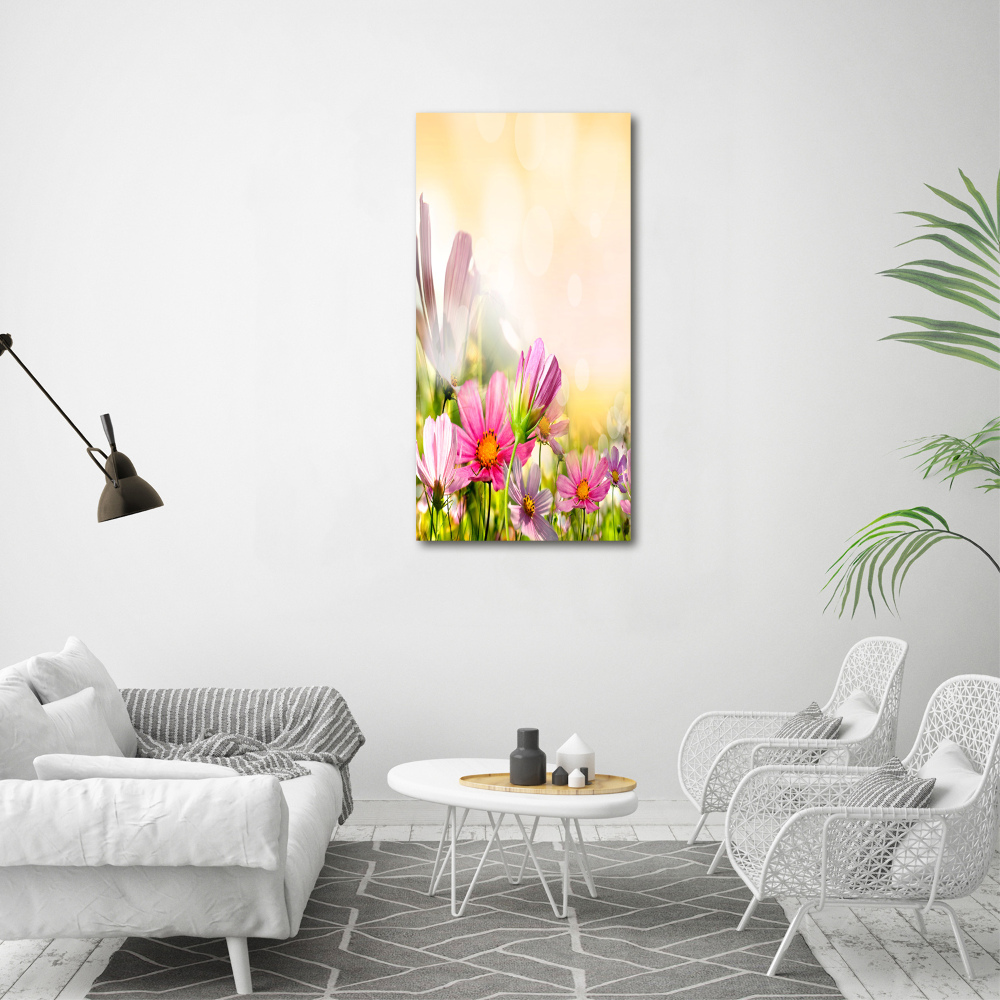 Tableau photo sur toile Fleurs des champs