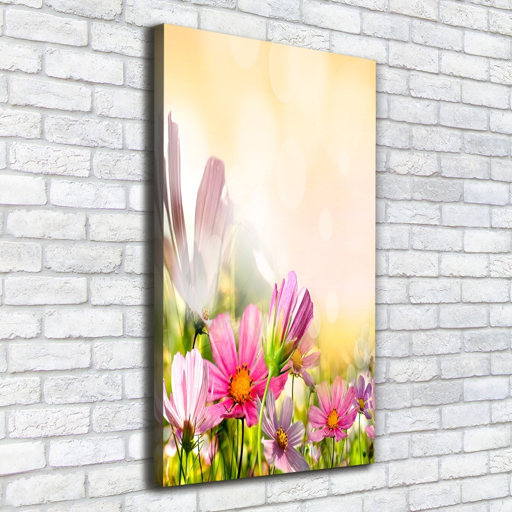 Tableau photo sur toile Fleurs des champs