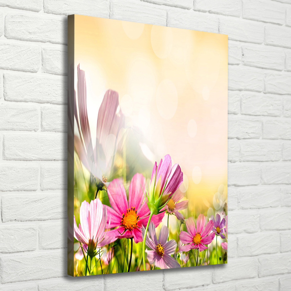 Tableau photo sur toile Fleurs des champs