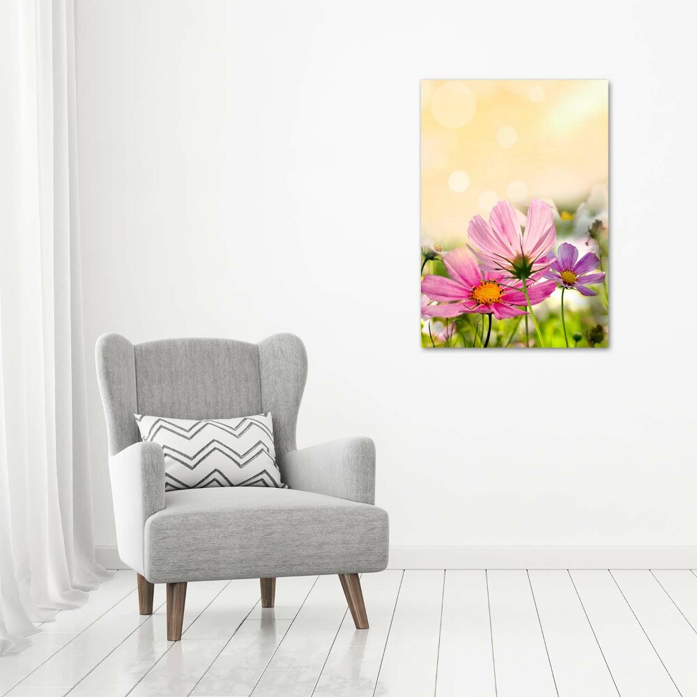 Tableau photo sur toile Fleurs des champs