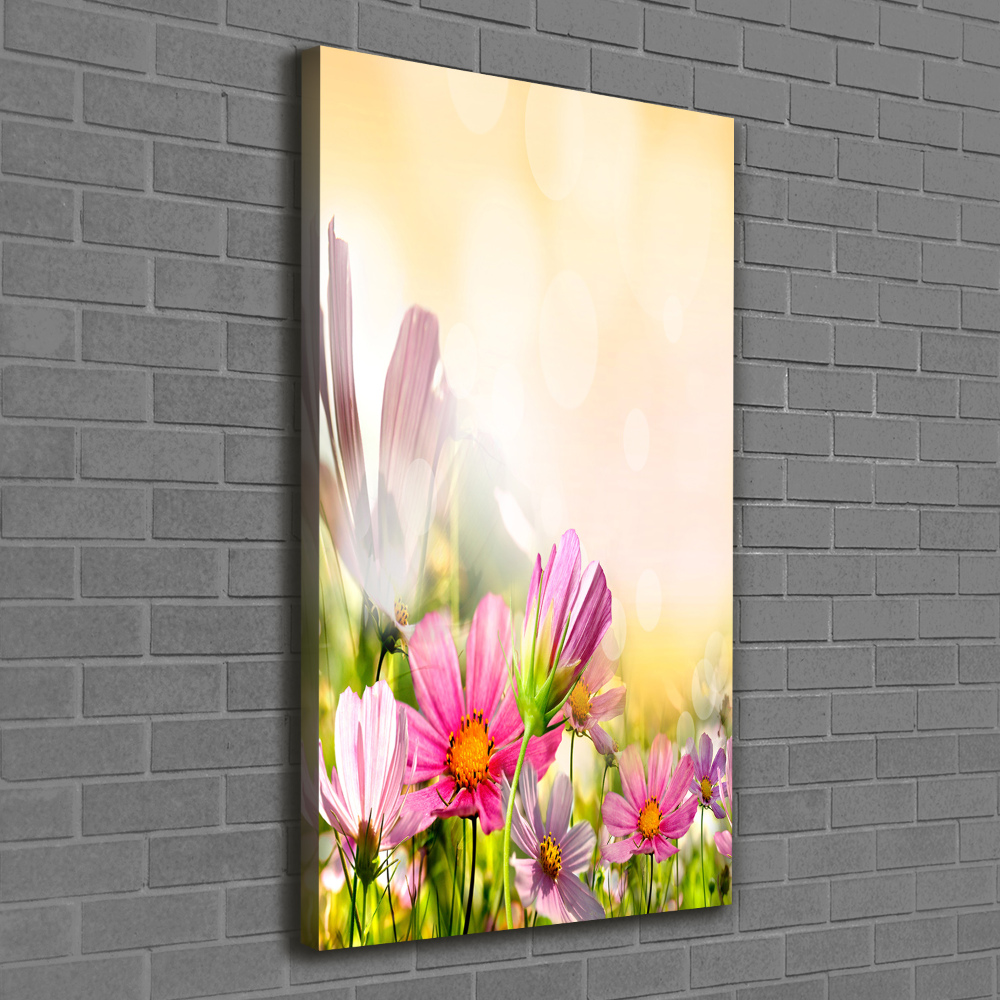 Tableau photo sur toile Fleurs des champs