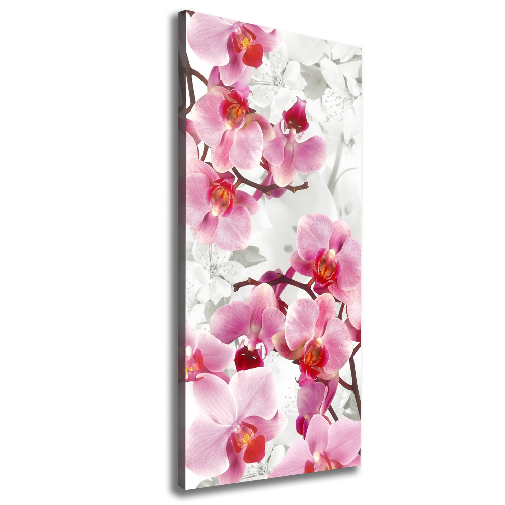 Tableau imprimé sur toile Orchidée rose fleur