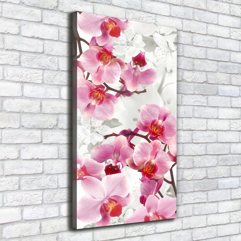 Tableau imprimé sur toile Orchidée rose fleur