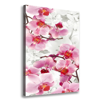 Tableau imprimé sur toile Orchidée rose fleur