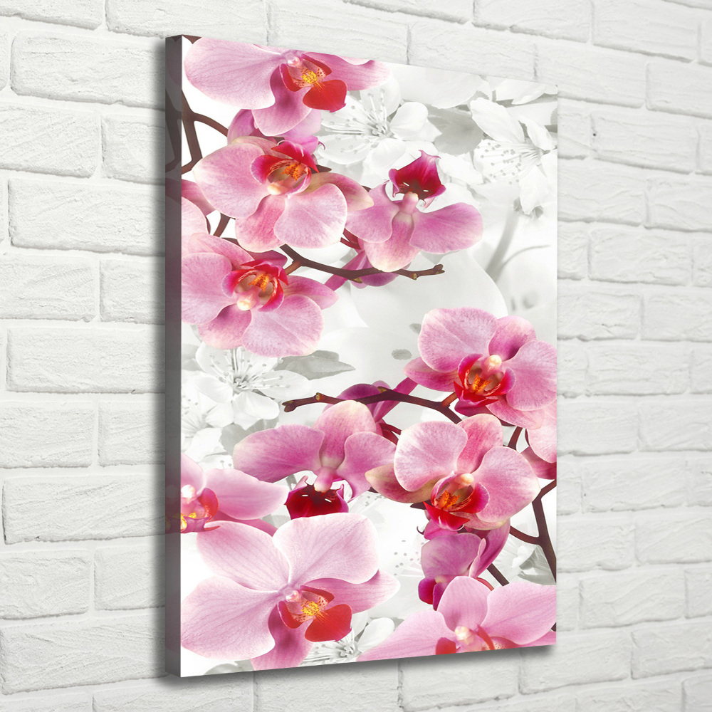 Tableau imprimé sur toile Orchidée rose fleur