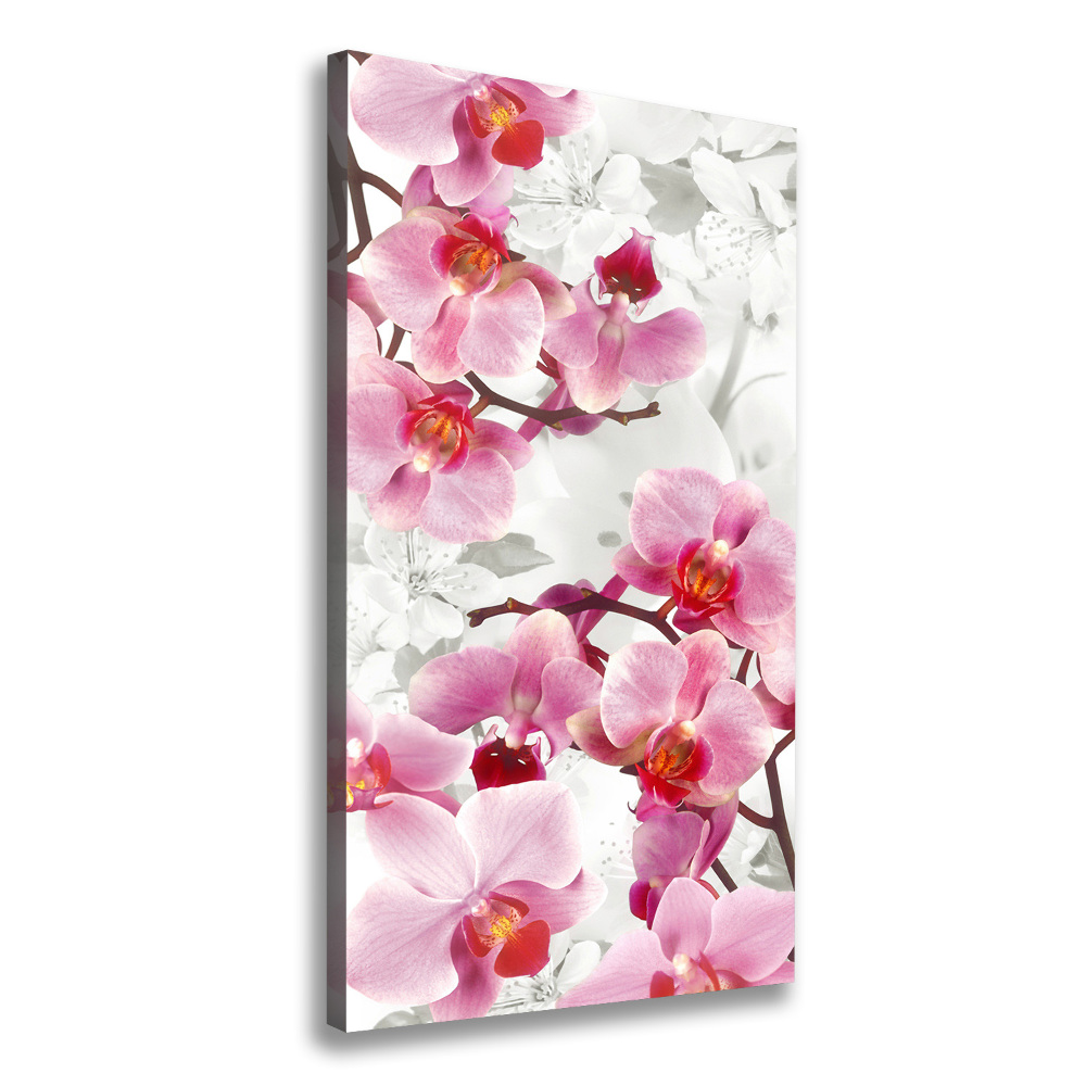 Tableau imprimé sur toile Orchidée rose fleur