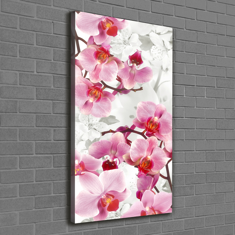 Tableau imprimé sur toile Orchidée rose fleur