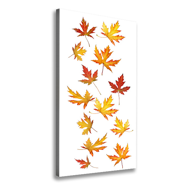 Feuilles d'automne