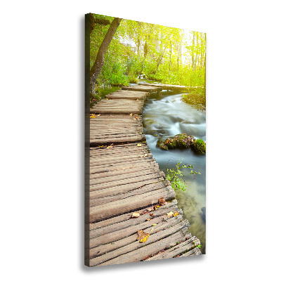 Tableau sur toile Chemin dans la forêt