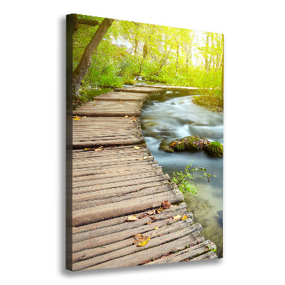 Tableau sur toile Chemin dans la forêt