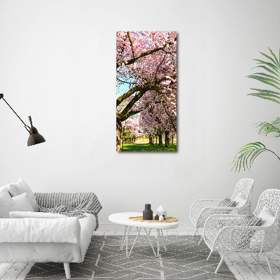 Tableau photo sur toile Cerisiers