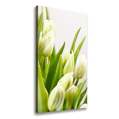 Tableau imprimé sur toile Tulipes blanches