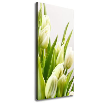 Tableau imprimé sur toile Tulipes blanches