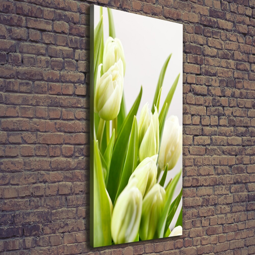 Tableau imprimé sur toile Tulipes blanches