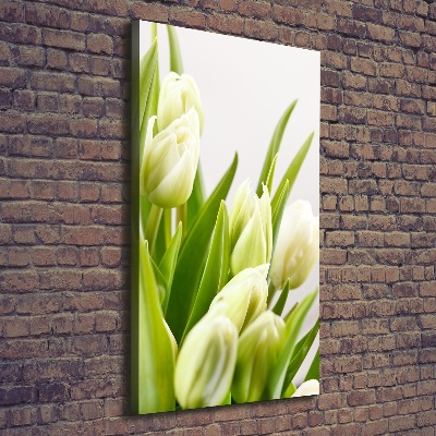 Tableau imprimé sur toile Tulipes blanches