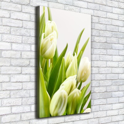 Tableau imprimé sur toile Tulipes blanches