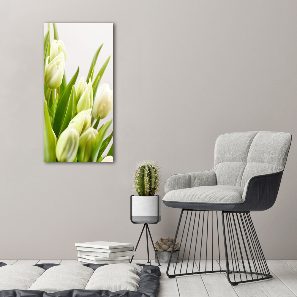 Tableau imprimé sur toile Tulipes blanches