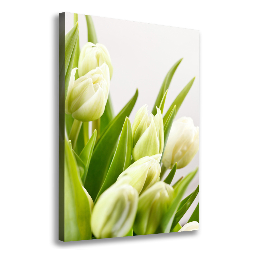 Tableau imprimé sur toile Tulipes blanches