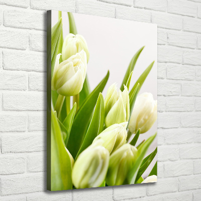 Tableau imprimé sur toile Tulipes blanches