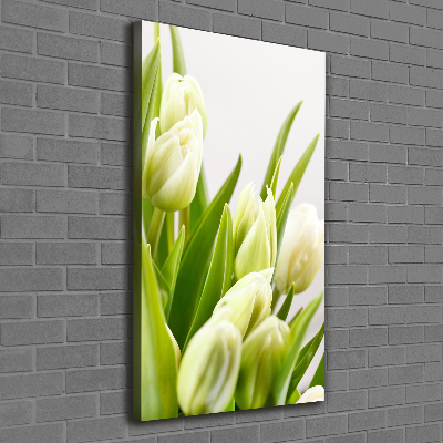 Tableau imprimé sur toile Tulipes blanches