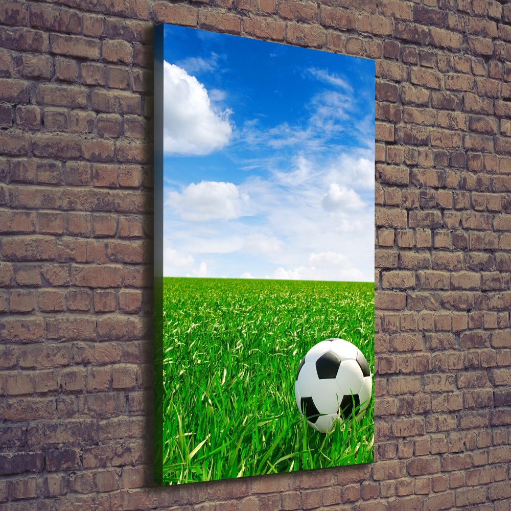 Tableau imprimé sur toile Football dans le pré