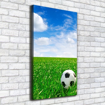 Tableau imprimé sur toile Football dans le pré